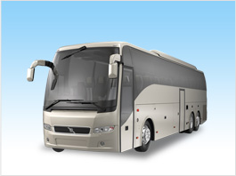 Belvedere 40 Passenger Party Bus Fleet