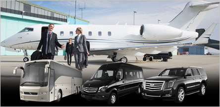 Airport Transportation Limo Service Belvedere