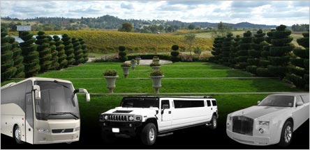 Amador Country Wine Tour Limo Service