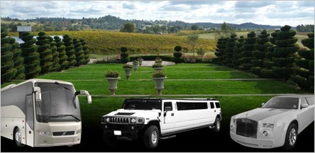 Amador Country Wine Tour Limo Service Amador Country Wine Tour Limo Service