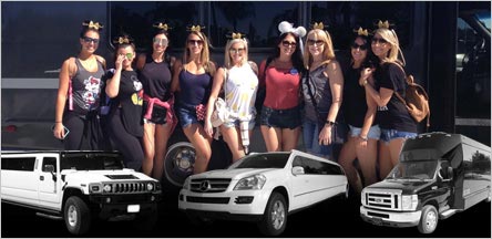 Bachelor Party Limo Rentals Belvedere