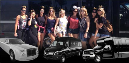 Belvedere Bachelor Party Limo Service