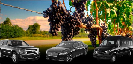 Belvedere Wine Tours Limo Service