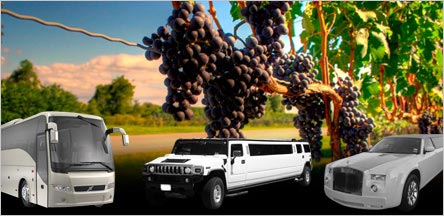 Belvedere Wine Tours Rentals Belvedere Wine Tours Rentals