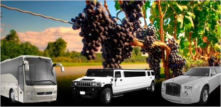 Belvedere Wine Tours Rentals