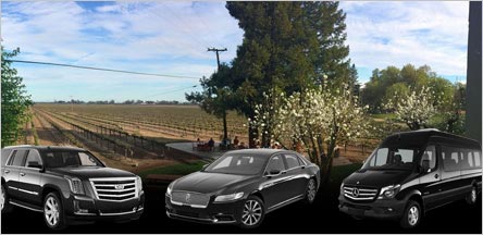 Clarksburg Wine Tours Limo Rentals Belvedere