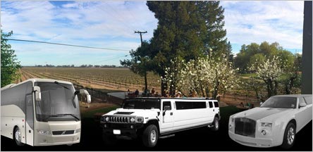 Clarksburg Wine Tours Limo Service Belvedere