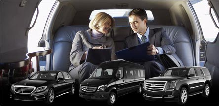 Corporate Limousine Transportation Service Belvedere