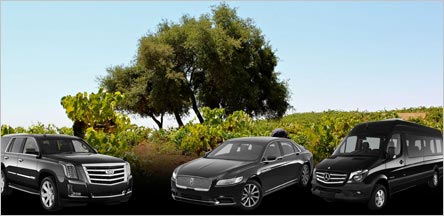 El Dorado County Wineries Limo Rentals