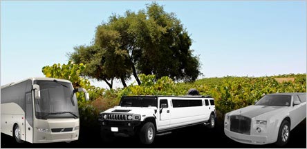 El Dorado County Wineries Limo Service