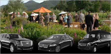 Napa Valley Wine Tour Limo Rentals Belvedere Napa Valley Wine Tour Limo Rentals Belvedere