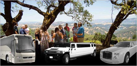 Sonoma Valley Wine Tours Limo Service Belvedere