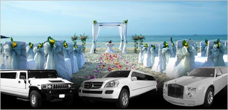 Wedding Limo Rental Service Belvedere