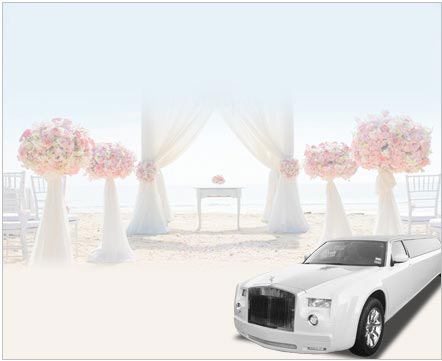 Wedding Limo Service Belvedere