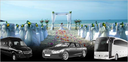 Wedding Limousine Service Belvedere