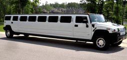 Belvedere All Stretch Limos