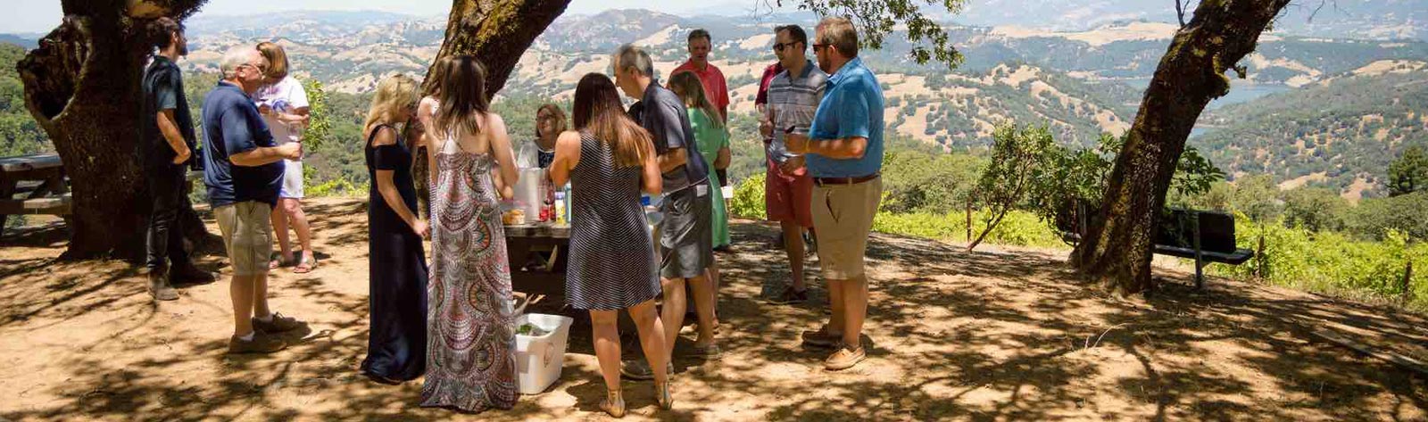 Sonoma Valley Wine Tours Belvedere